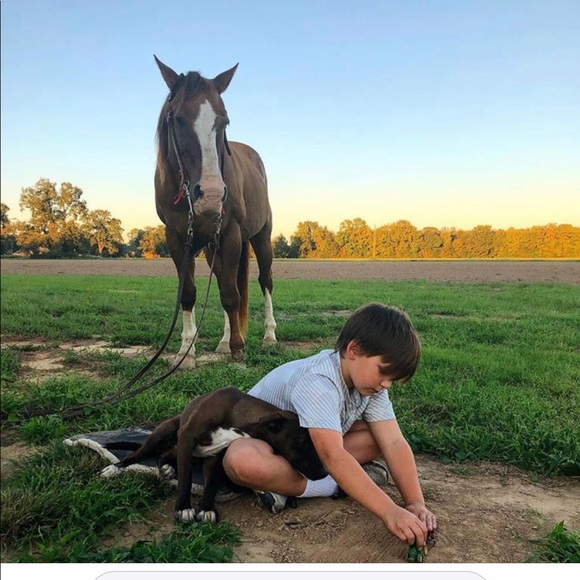 MyStory. 1st 2pics b4 2012 &stage4 BR CA. And now. - Picture 7 of 8